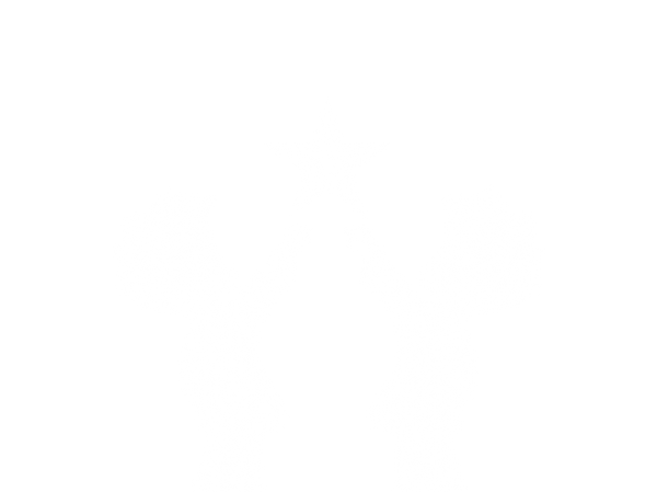 Ova Streetwear